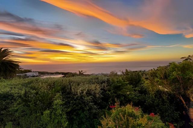 Cape Rose Cottage - Penthouse In Camps Bay Κέιπ Τάουν Εξωτερικό φωτογραφία